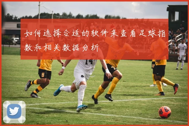 如何选择合适的软件来查看足球指数和相关数据分析