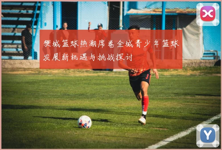 樊城篮球热潮席卷全城青少年篮球发展新机遇与挑战探讨